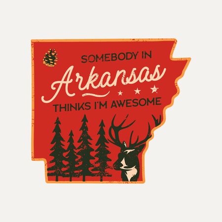 Vintage Arkansas badge. Retro style US state patch, print for t-shirt and other uses. Included quote saying - Somebody in Arkansas things I am Awesome. Stock vector label isolatedのイラスト素材