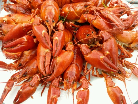 Plate full of crayfish in traditional Nordic crayfish party .