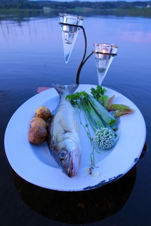Fresh fish catch pike perch on plate served with fresh vegetables in outdoors setting on a lake with candles as a decoration.の写真素材