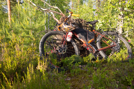 Taipalsaari, Finland â July 1, 2015: Adventure bike with mountain bike and touring bike capabilities in the lush forest in Eastern Finland.のeditorial素材