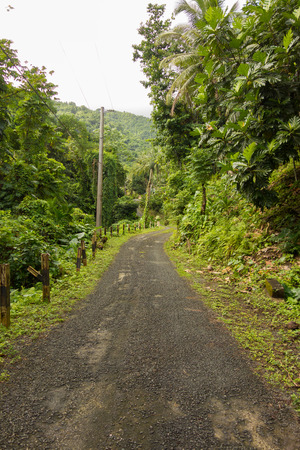 Gravel road in lush rain forest in the Portland Parish on the Eastern Coast of Jamaica on 30 December 2013.の写真素材