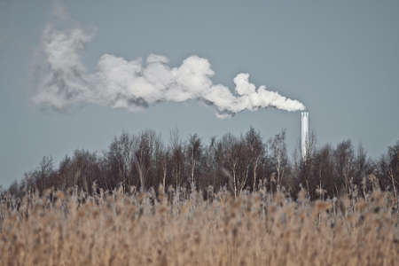 Thick white smoke rising from smokestack behind reeds and forest in Espoo, Finland on extremely cold winter morning.の写真素材