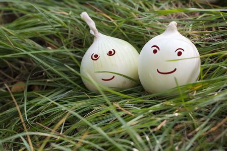 happy onions in grassの写真素材