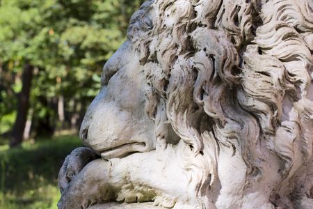 ion, sleeping, asleep, resting, king, beast, tired, rundown, dead, sick, forest,の写真素材