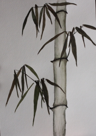 bamboo chinese paintingの写真素材