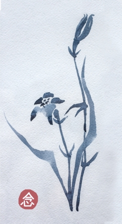 wild asian flower sumie watercolorの写真素材