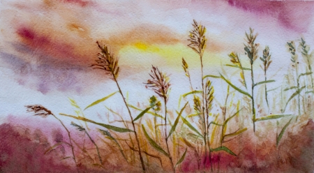 cane sunset asian landscape watercolorの写真素材