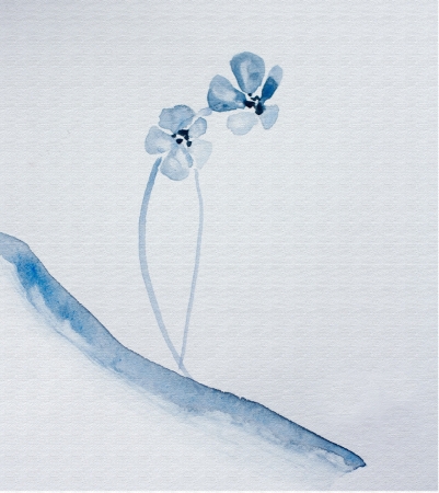 japanese watercolour sumi-e of a blue flower の写真素材
