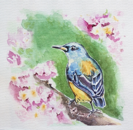 spring bird at blossom branch watercolorの写真素材