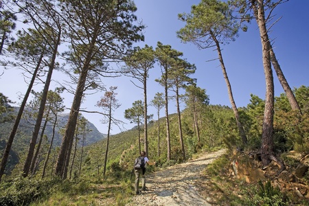 a young woman walking on a mountain trail in italyの写真素材