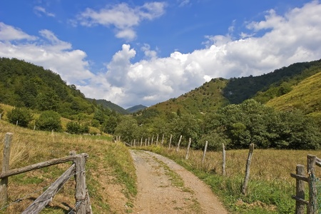 a path in the meadows with wood fence, italyの写真素材