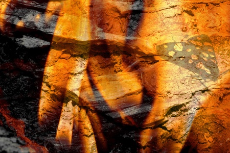 a grunge texture with butterfly and burning woodの写真素材