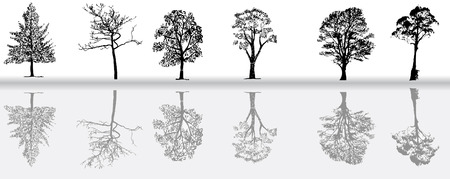 Tree  silhouettes のイラスト素材