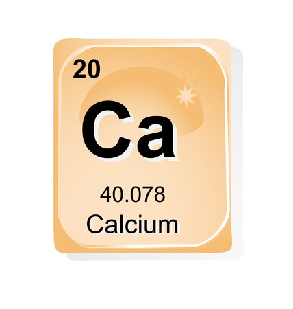 Calcium chemical element with atomic number, symbol and weightのイラスト素材