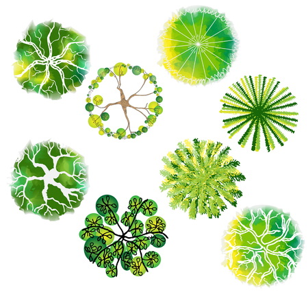 A set of treetop symbols, for architectural or landscape designのイラスト素材