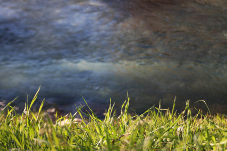 Green grass with moving water in the background.