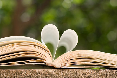 Open book with pages shaped like heart, can symbolize love for reading or love in general.