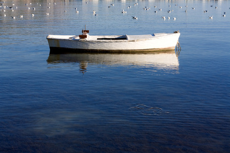 Small wooden boat in shallow sea with seagulls in the background.