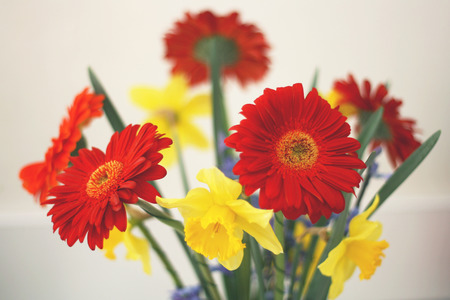 Colorful spring flowers in a vase.の写真素材