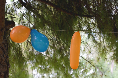 Orange and blue balloons hanging from the tree.の写真素材