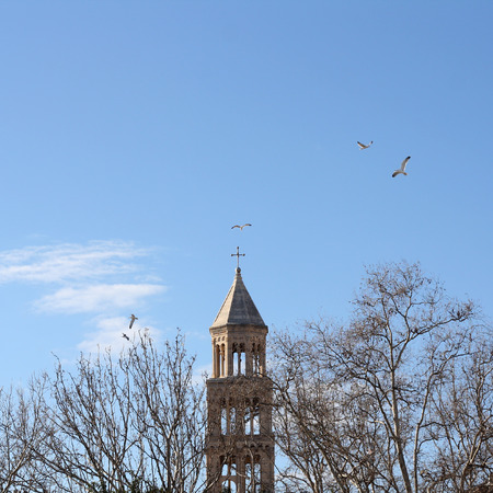 Saint Domnius bell tower in Split, Croatia. Surrounded by trees and birds. Natural light.の写真素材