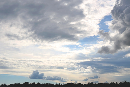 Various clouds in the sky above the forest.