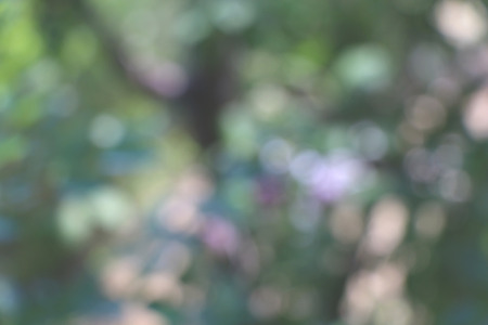 Abstract bokeh background in pastel green, blue and purple hues.の写真素材