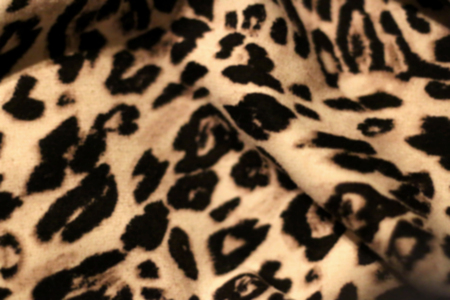 Wrinkly leopard print fabric, defocused.の写真素材