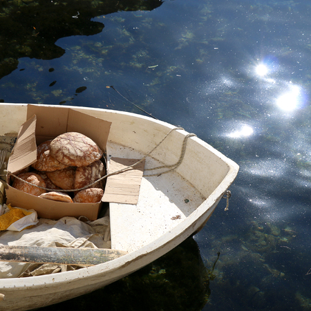 Small traditional fishing boat with pile of old bread used for fishing. In Dubrovnik, Croatia. Selective focus.の写真素材
