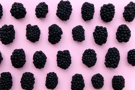 Blackberries organized on pink background. Top view.