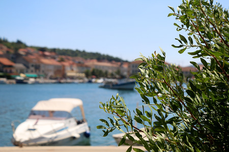 Mediterranean garden in Vela Luka, island Korcula, Croatia. Defocused boats and traditional buildings in the background.の写真素材