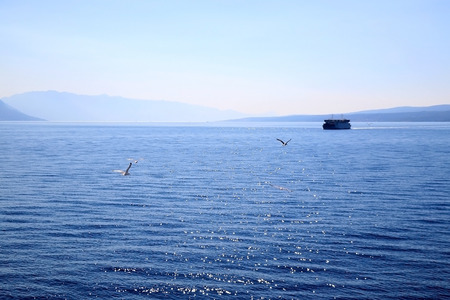 Seagulls flying above the sea. Beautiful landscape in Croatia.の写真素材