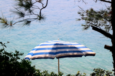 Striped parasol on a beach, surrounded with pine trees. Selective focus.の写真素材
