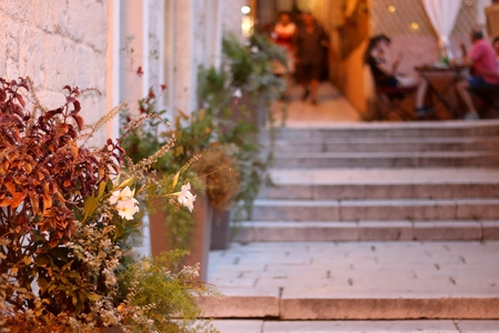 Flowers on the colorful narrow cobblestone street in Sibenik, Croatia. Selective focus, beautiful soft evening light.の写真素材