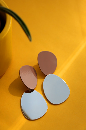 Fashionable golden earrings and succulent plant on yellow background, illuminated by sunlight.
