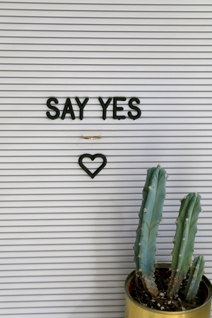Engagement ring on a bulletin board with love messagea nd cactus. Proposal concept.の写真素材