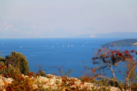 Meadow with wild Mediterranean plants on the hill above Split, Croatia. Sea with sailboats in the...