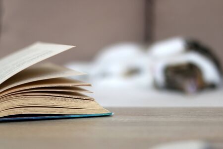 Open book on a living room table. Cat sleeping on a couch in the background. Selective focus.の写真素材