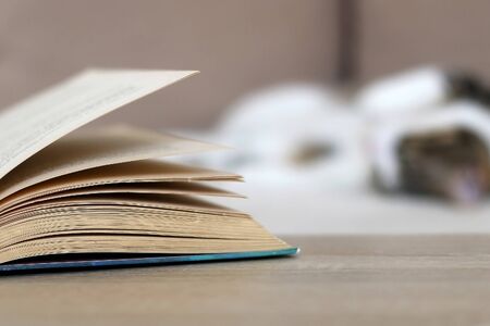 Open book on a living room table. Cat sleeping on a couch in the background. Selective focus.
