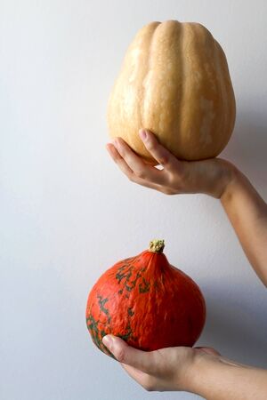 Hands holding hokkaido pumpkin and butternut squash in front of white wall.の写真素材