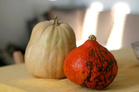 Hokkaido pumpkin and butternut squash on a table, illuminated by golden sunlight. Selective focus.の写真素材