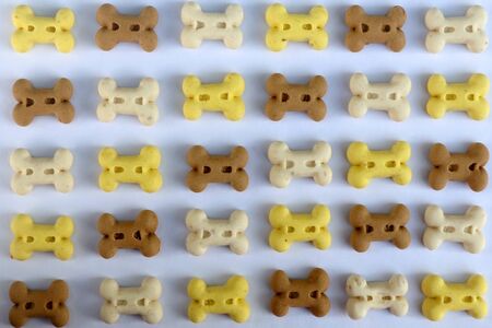 Dog treats shaped like little bones, neatly arranged on white background. Top view.の写真素材