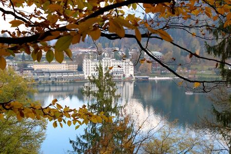 Colorful autumn leaves on Lake Bled, Slovenia. Selective focus.の写真素材