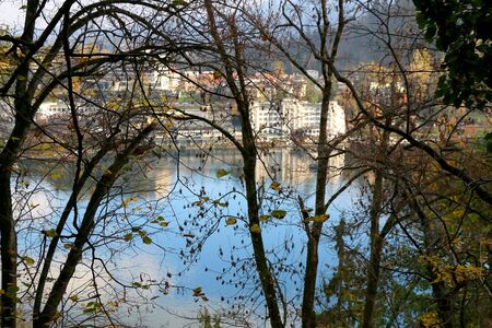 Colorful autumn leaves on Lake Bled, Slovenia. Selective focus.の写真素材