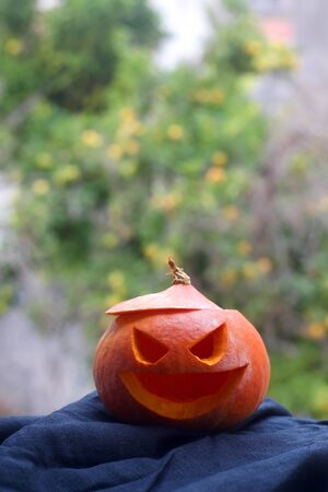 Carved scary pumpkin in a garden. Homemade Halloween decoration. Selective focus.の写真素材