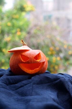 Carved scary pumpkin in a garden. Homemade Halloween decoration. Selective focus.の写真素材