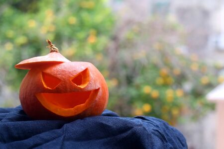 Carved scary pumpkin in a garden. Homemade Halloween decoration. Selective focus.の写真素材