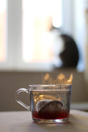 Tea in a glass mug and lit candle. Cat in the background. Selective focus.の写真素材