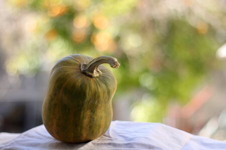Butternut squash on beige fabric. Selective focus, natural background.の写真素材