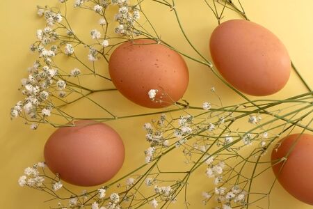 Free range eggs and gypsophila flowers on bright yellow background. Top view.